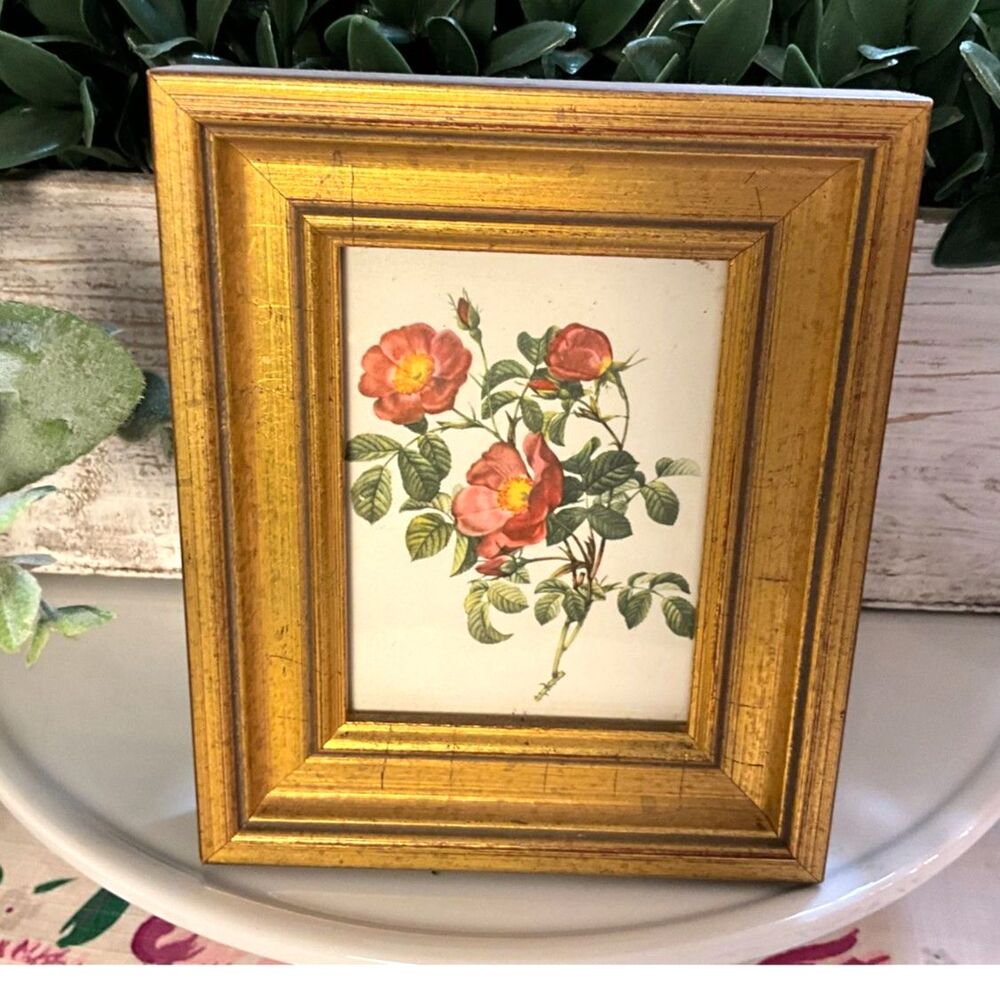 Beautiful framed botanical print gold frame Rose of Love Grandmacore Cottagecore